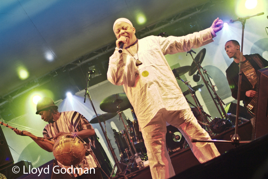 Sailf Keita - Womad - Adelaide - Australia - 2007 - - photograph Lloyd Godman