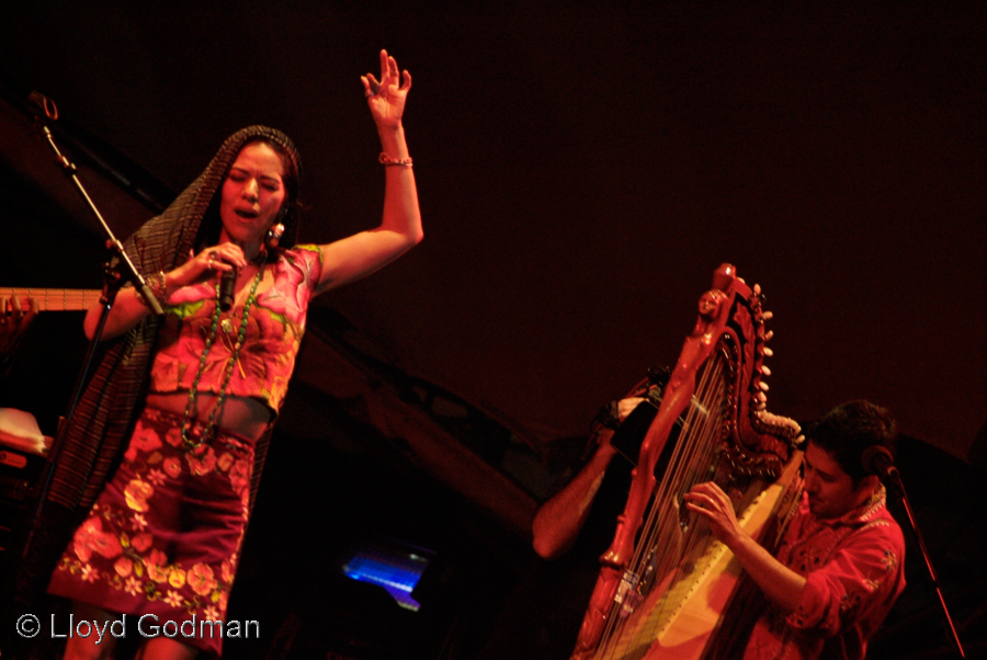 Lila Downs - Womadelaide Adelaide Australia - 2007 - photograph Lloyd Godman