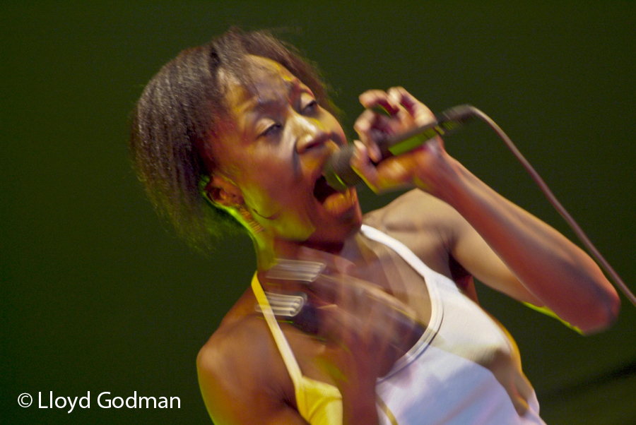 Rokia Traore - Womad - Adelaide - Australia - 2009 - Photograph Lloyd Godman