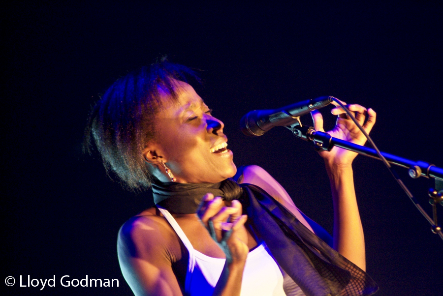 Rokia Traore - Womad - Adelaide - Australia - 2009 - Photograph Lloyd Godman