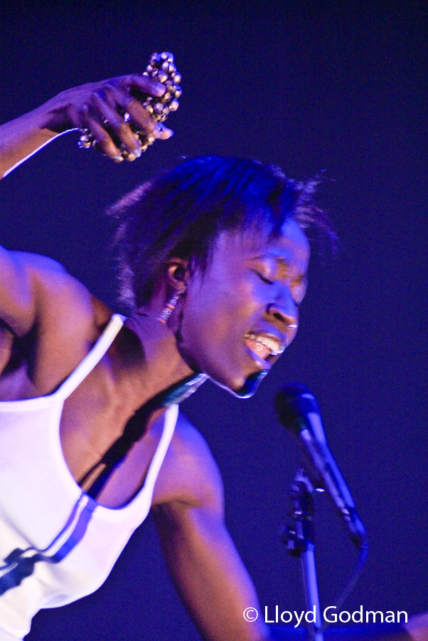 Rokia Traore - Womad - Adelaide - Australia - 2009 - Photograph Lloyd Godman