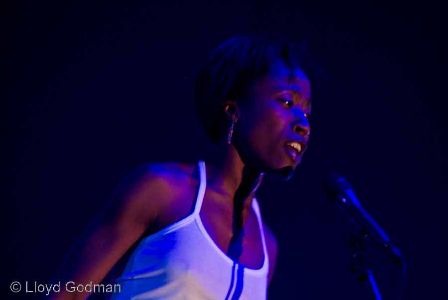 Rokia Traore - Womad - Adelaide - Australia - 2009 - Photograph Lloyd Godman