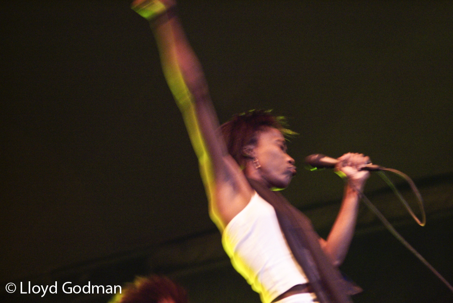 Rokia Traore - Womad - Adelaide - Australia - 2009 - Photograph Lloyd Godman