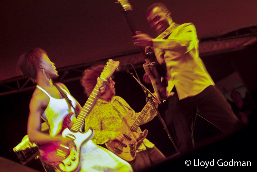 Rokia Traore - Womad - Adelaide - Australia - 2009 - Photograph Lloyd Godman