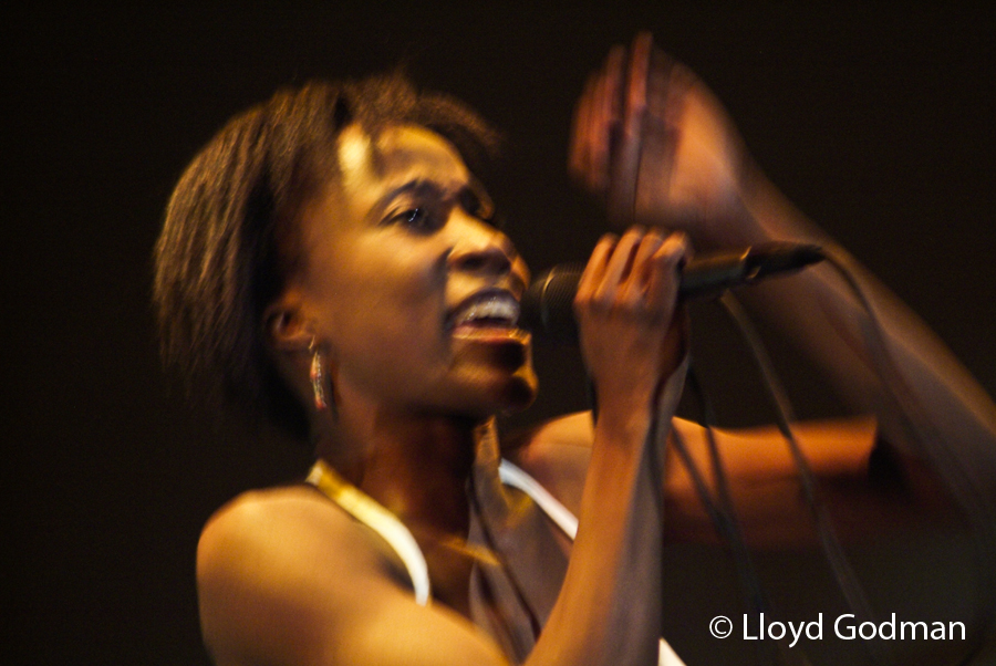 Rokia Traore - Womad - Adelaide - Australia - 2009 - Photograph Lloyd Godman