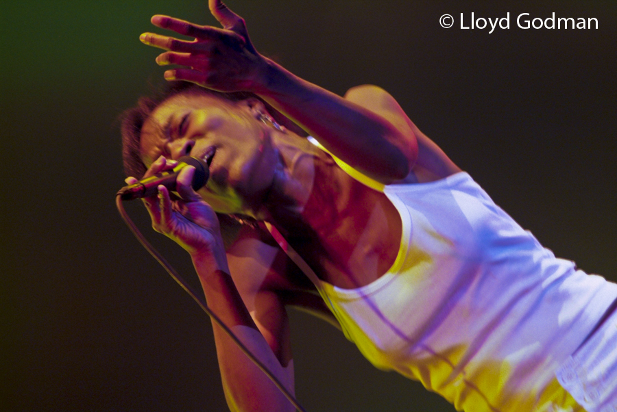 Rokia Traore - Womad - Adelaide - Australia - 2009 - Photograph Lloyd Godman