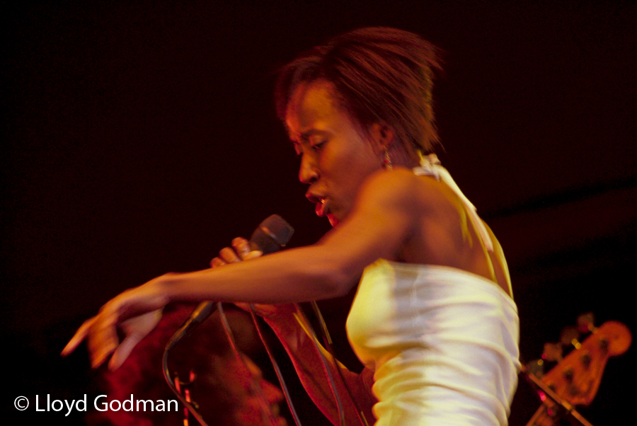 Rokia Traore - Womad - Adelaide - Australia - 2009 - Photograph Lloyd Godman