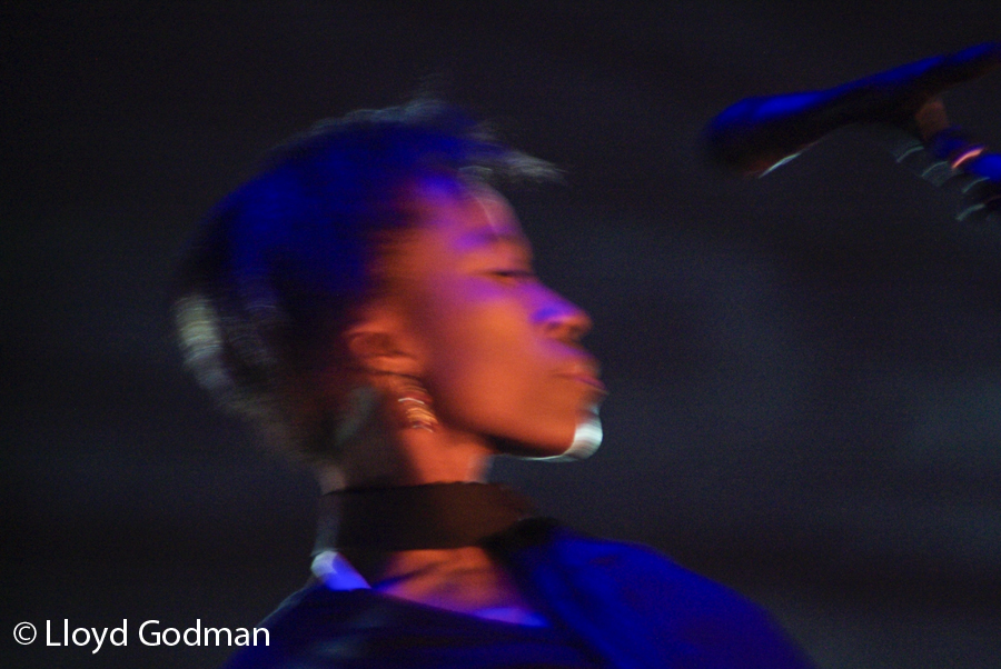 Rokia Traore - Womad - Adelaide - Australia - 2009 - Photograph Lloyd Godman