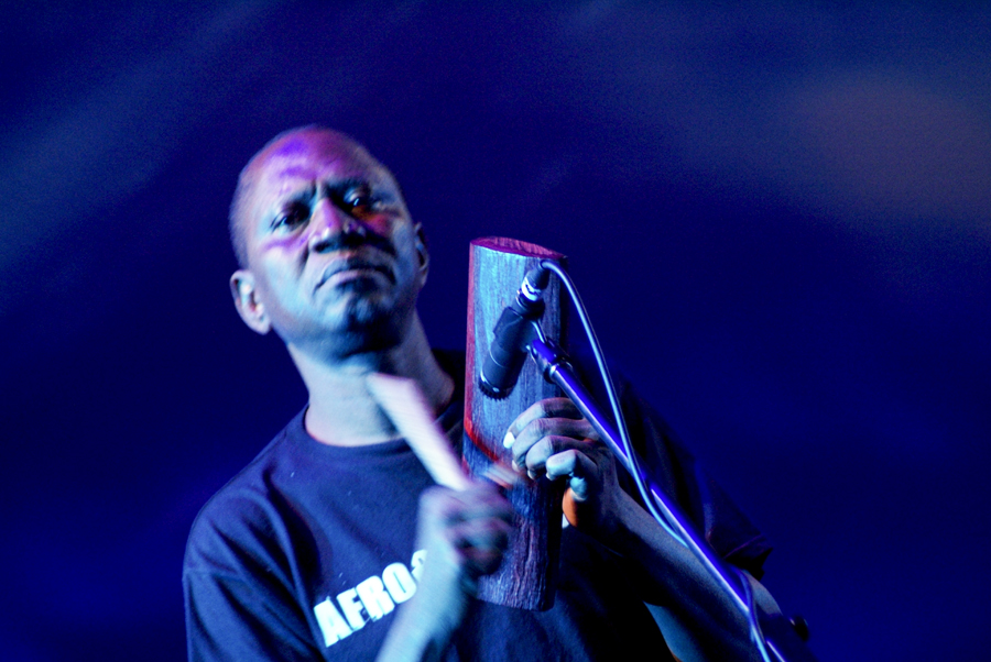 Seun Kuti and Egypt 80 - Womad - Adelaide - Australia - 2009 - Photograph Lloyd Godman