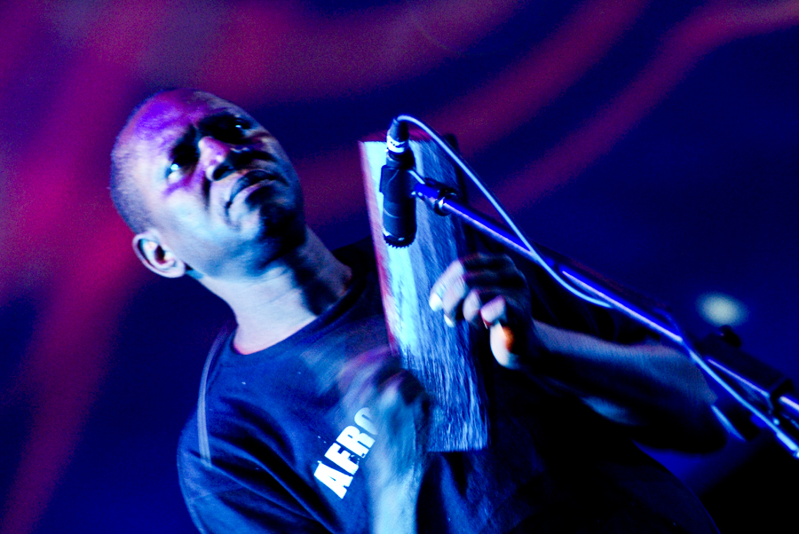 Seun Kuti and Egypt 80 - Womad - Adelaide - Australia - 2009 - Photograph Lloyd Godman