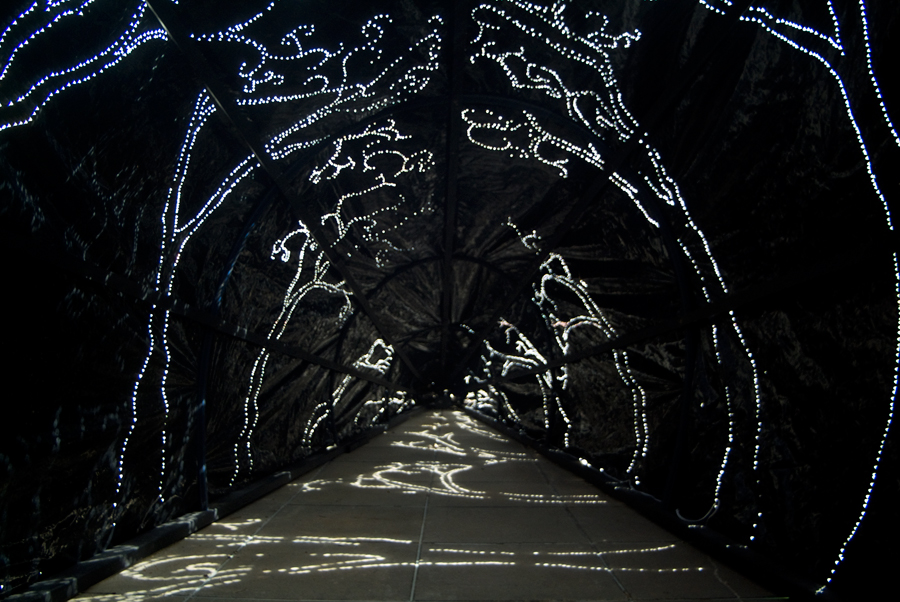 Interior of Carbon Obscura with sun projections but no fog - on the deck outside Photospace Gallery ANU, Lloyd Godman