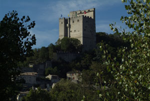 tower Crest