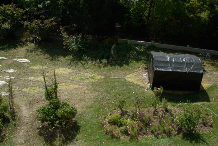 LEAF Impression - photosynthetic image on grass - Lloyd Godman 2007