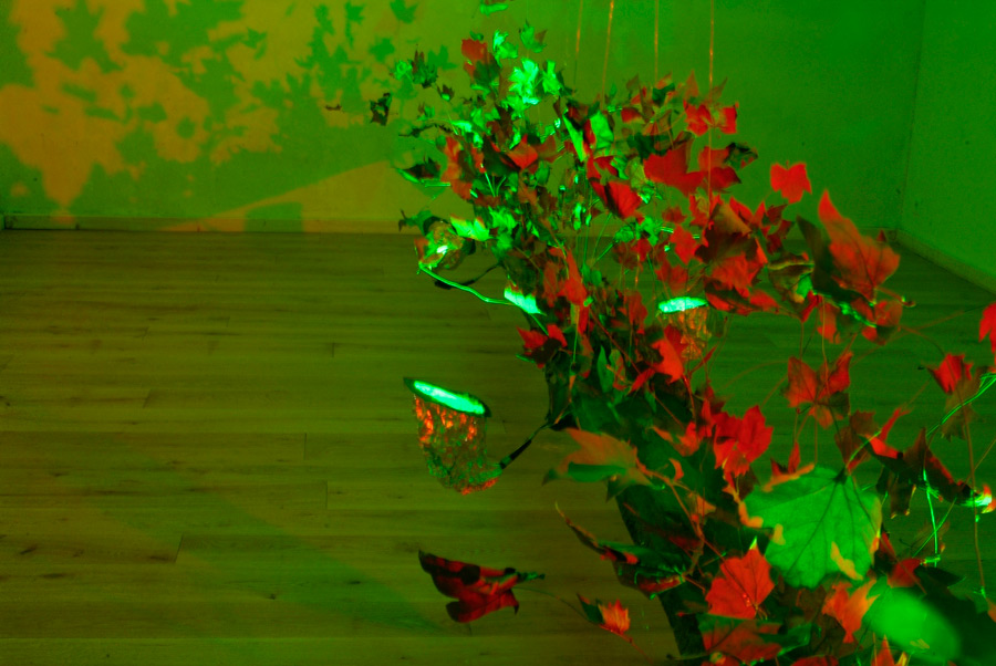 green light installation, lloyd godman