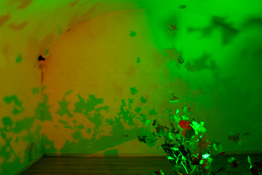 green light installation, lloyd godman