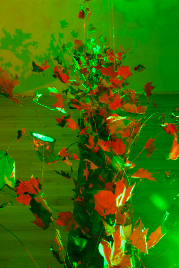 green light installation, lloyd godman