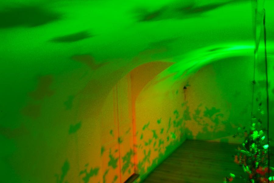 green light installation, lloyd godman