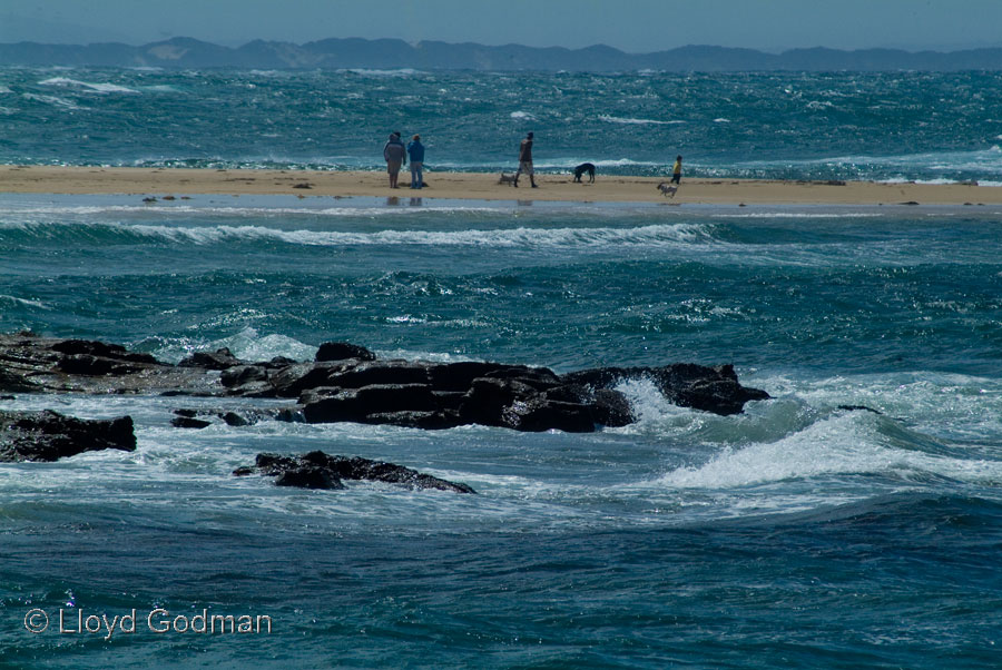 Windy beach scene, Cape Patterson, Victoria, Australia - photograph © Lloyd Godman