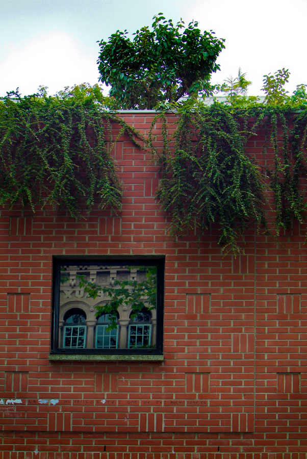 Roof, Roubaix, France, - photograph - © Lloyd Godman