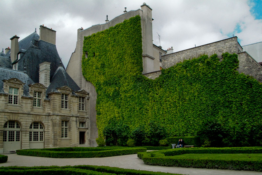 Wall garden,Paris, France, - photograph - © Lloyd Godman