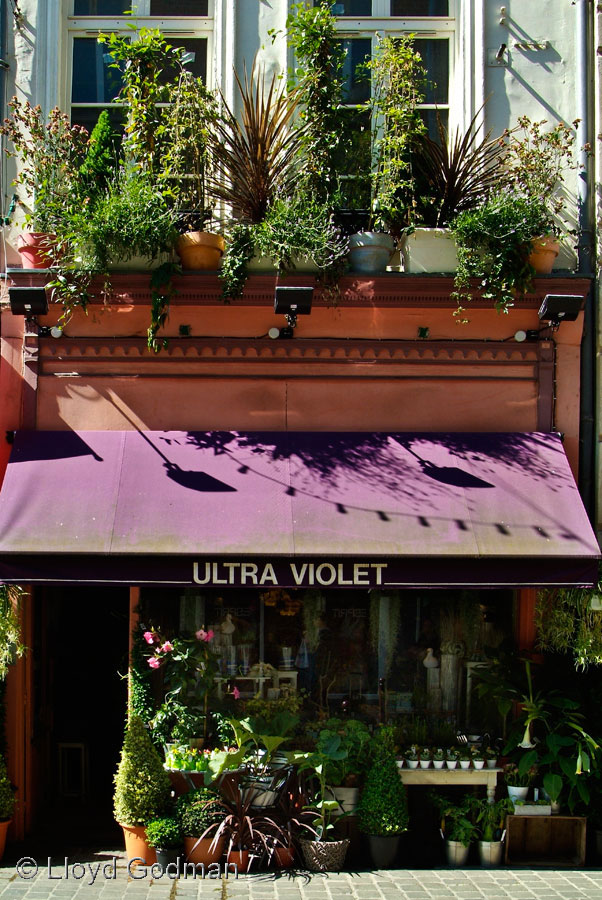 Plant Shop, France