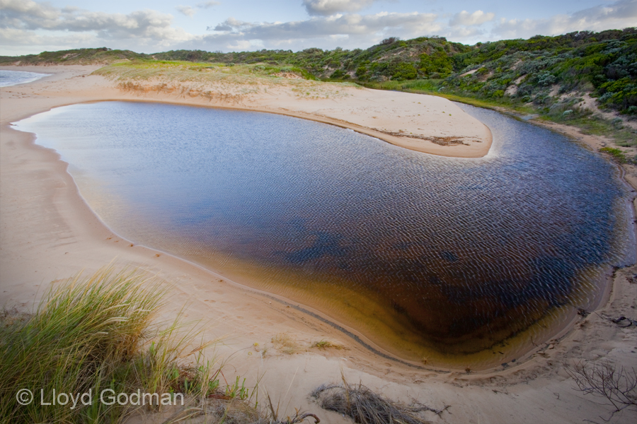 Photograph of stream outlet, Harmers Haven Victoria, Austaralia