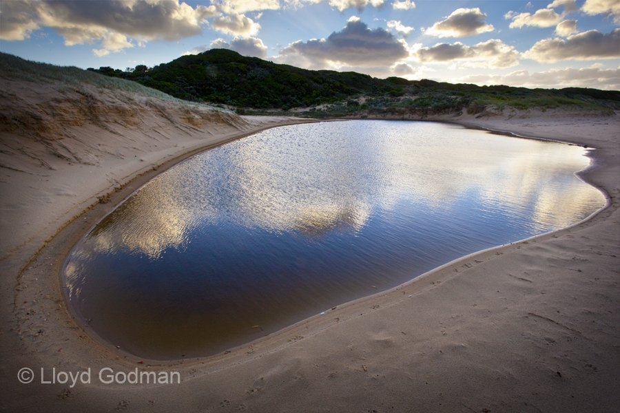 Pool coastline, Harmers Haven, Victoria, Austaralia - photograph © Lloyd Godman