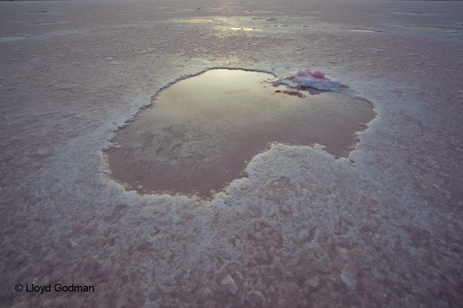 Pink Lake, Victoria, Australia