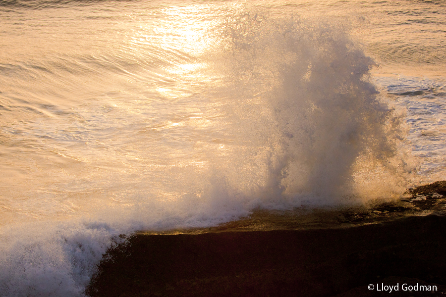 dramatic Wave Spray, Wilsons Prom, Victoria, Austaralia - photograph, Lloyd Godman