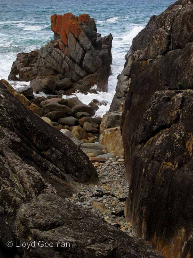 Coastal rock, Mimosa Rocks, NSW, Australia