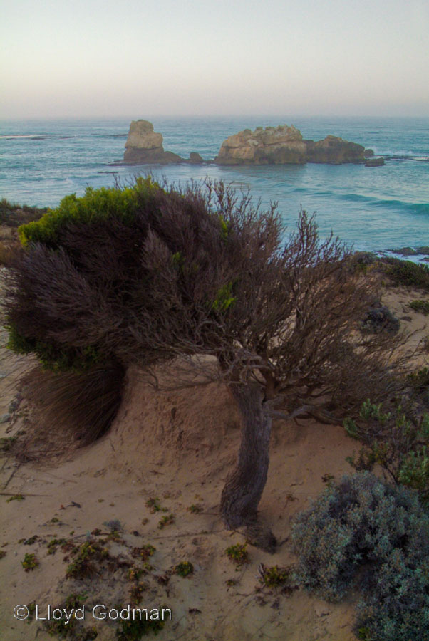 Dawn, Southend, Australia