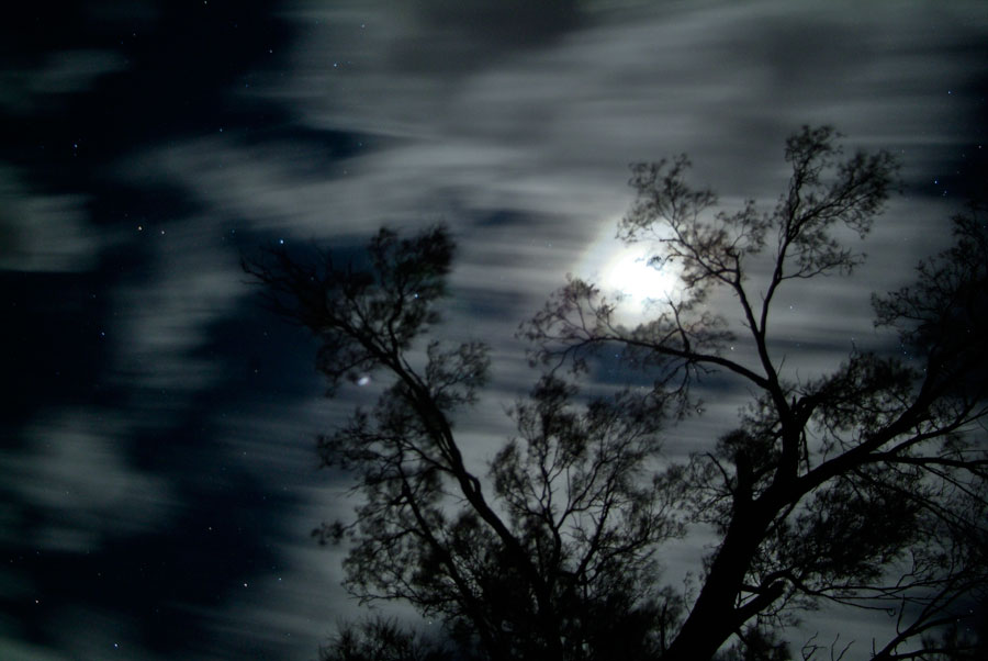 Lake Mungo, Victoria, Australia - Moon Painting I - Lloyd Godman - 2007