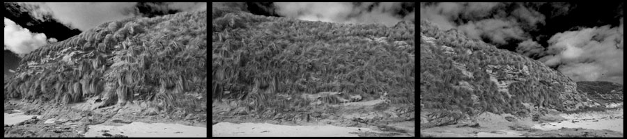 Harmers Haven, Wonthagi, Victoria, Australia - 2007 - Panoramic photograph - Lloyd Godman