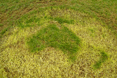 Lloyd Godman discarded corrugated iron water storage tank lid - grass