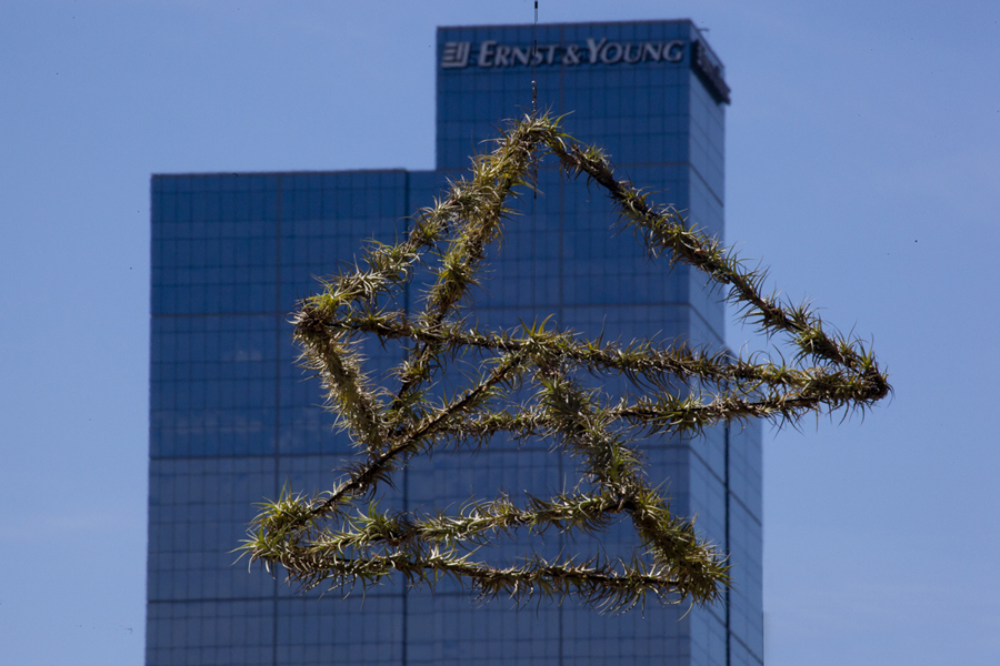 Airborne project - first installation of rotating air garden at Les Erdi Plaza, Northbank, 9 Feb 29 2013, against the Ernst & Young building, artist lloyd godman