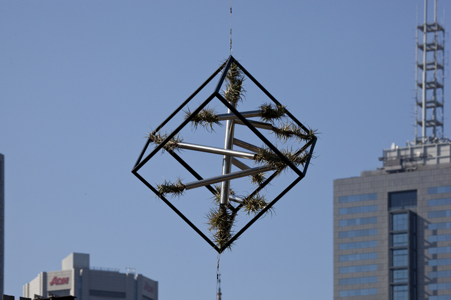 Rotating Tillandsia air Garden, Lloyd Godman