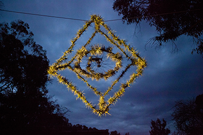 Air plant Sculpture