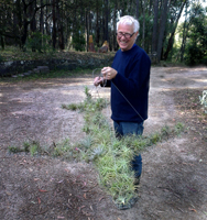 tillandsia plant jet plane, lloyd godman