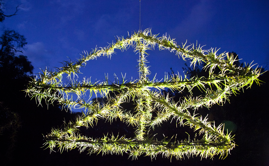 Double Pyramid, tilandsia plant, rotating air garden, Lloyd Godman