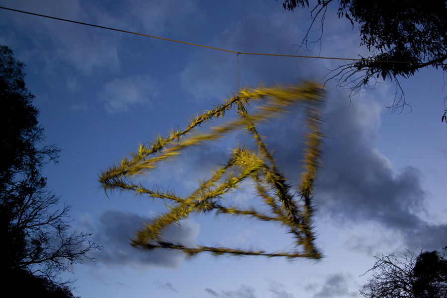 Double Pyramid, tilandsia plant, rotating air garden, Lloyd Godman