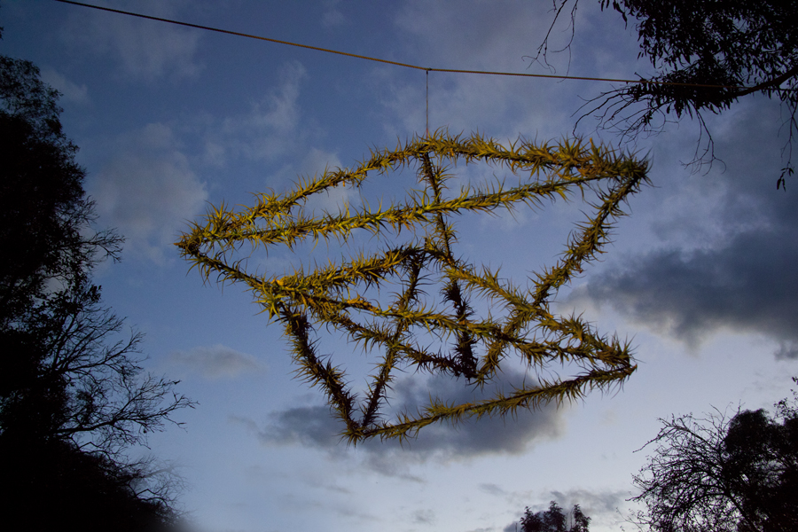 Double Pyramid, tilandsia plant, rotating air garden, Lloyd Godman