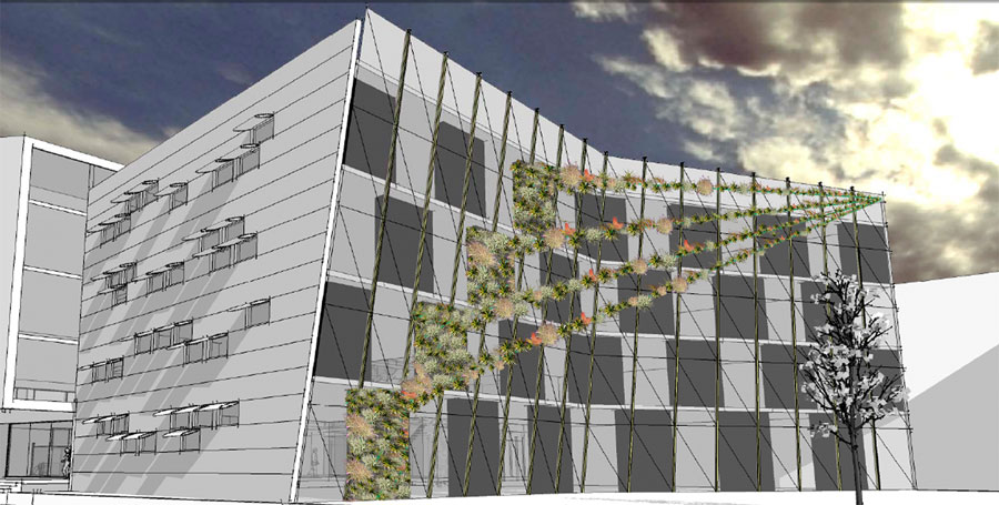 Digital sketch for a suspended living Tillandsia plant work on a building in Adelaide
