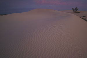 Lake Mungo